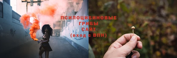 ГАЛЛЮЦИНОГЕННЫЕ ГРИБЫ Балахна