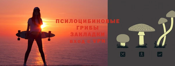 PSILOCYBIN Балабаново