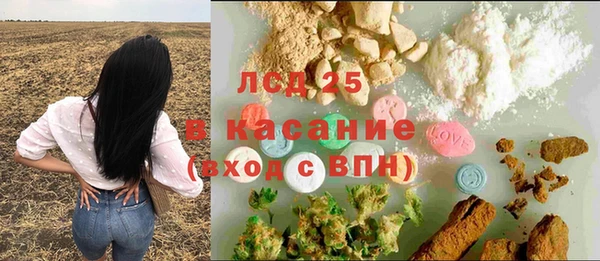 ГАЛЛЮЦИНОГЕННЫЕ ГРИБЫ Балахна