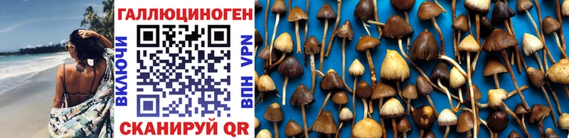Галлюциногенные грибы Magic Shrooms  Усть-Лабинск 
